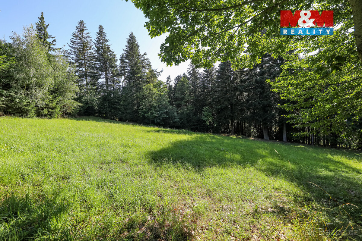 Prodej lesa, 15707 m², Petrovice u Sušice - 8