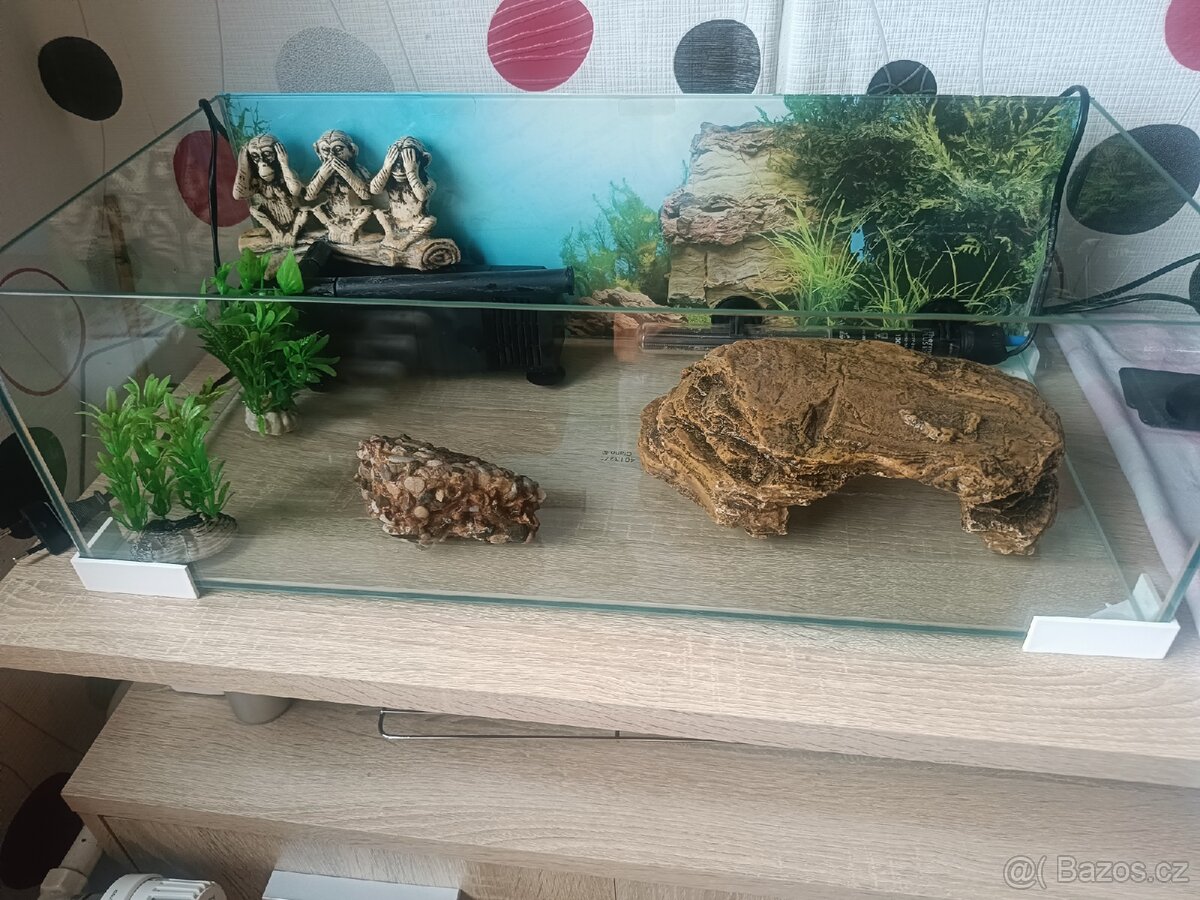 Prodám vodní želvu - 8