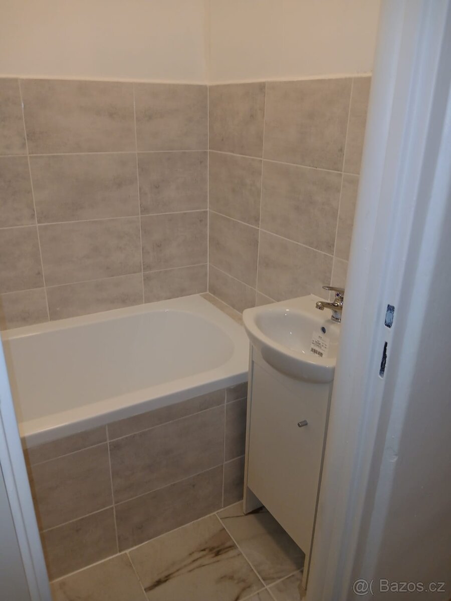Pronájem 2+1 - 8