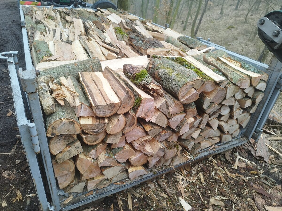 Palivové dřevo - 8