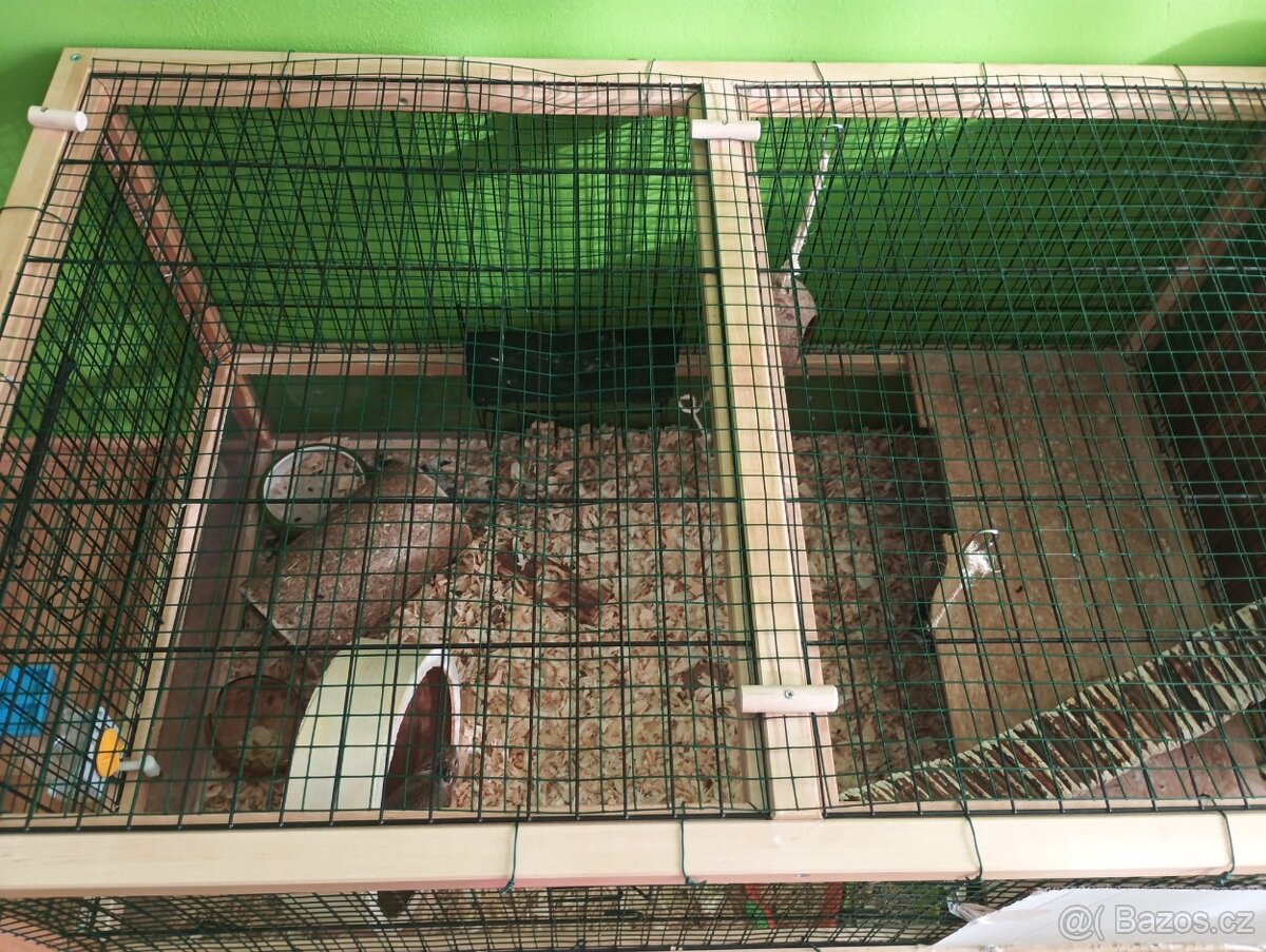 Osmačci s klecí - 8