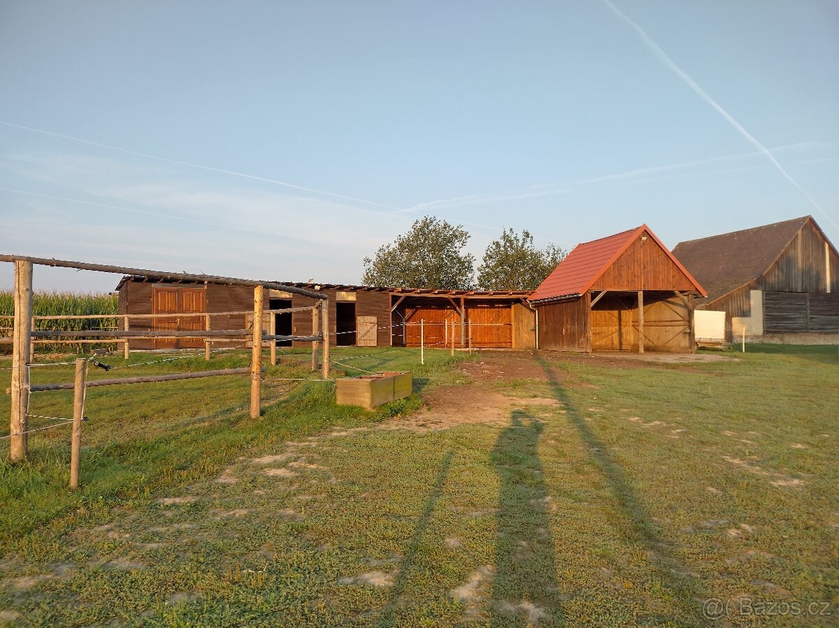 Ustájení koní - 8