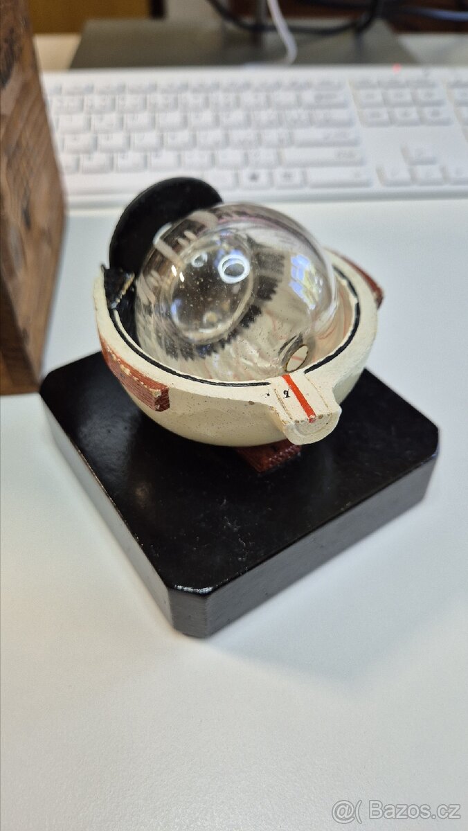 Starožitný model oka, Bock Steger, cca 1880 - 8