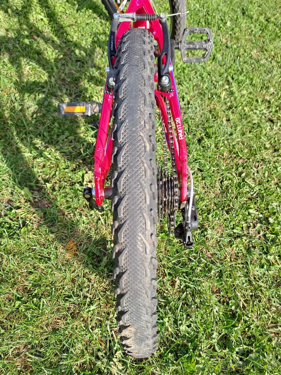 Superior paint vel.20 PĚKNÉ - 8