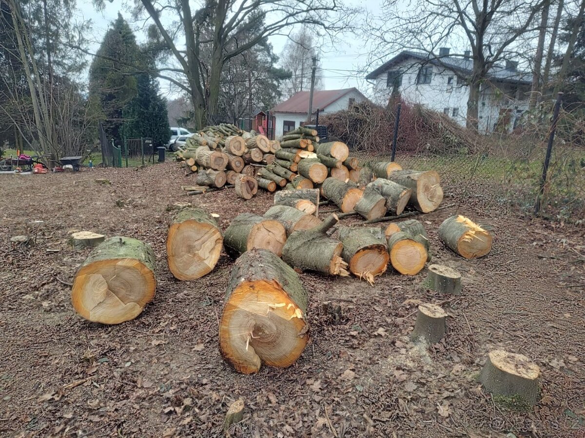 Třešeň - dřevo na uzení - 8