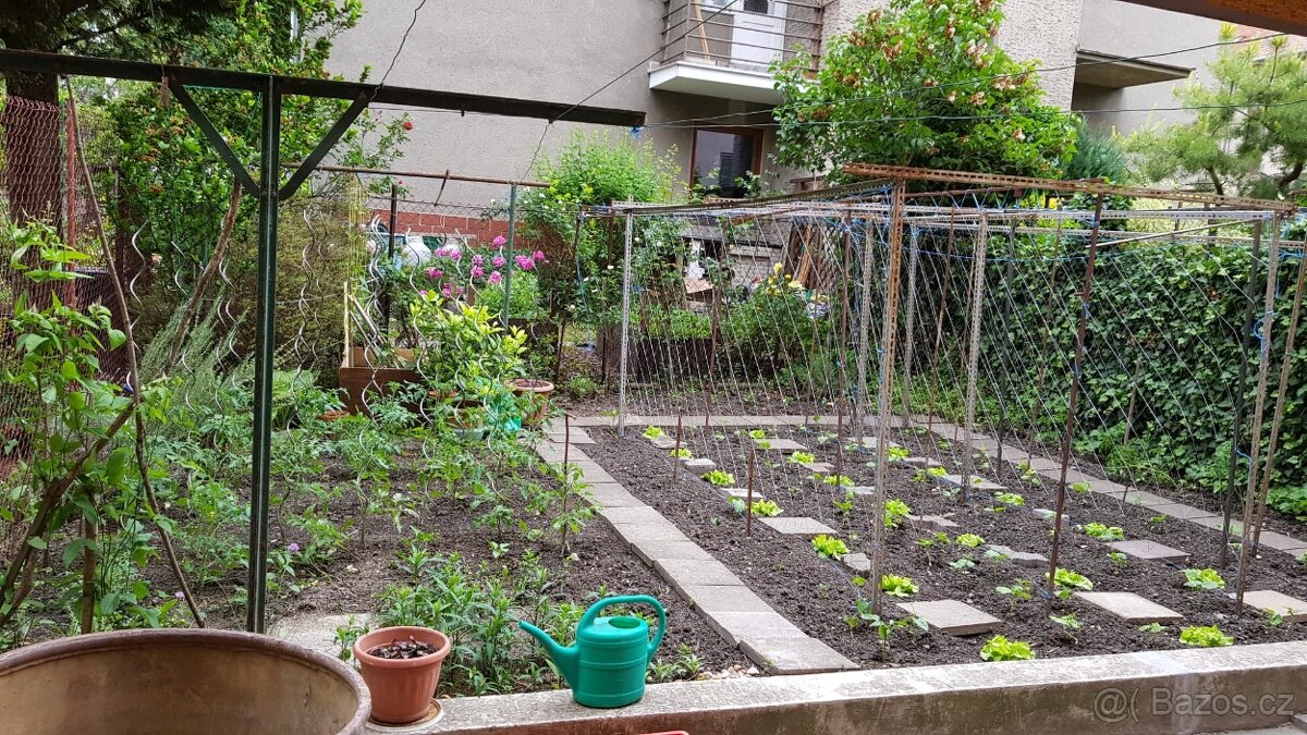 Pronájem bytu 2+1 v RD v Brně - Černá Pole - 8