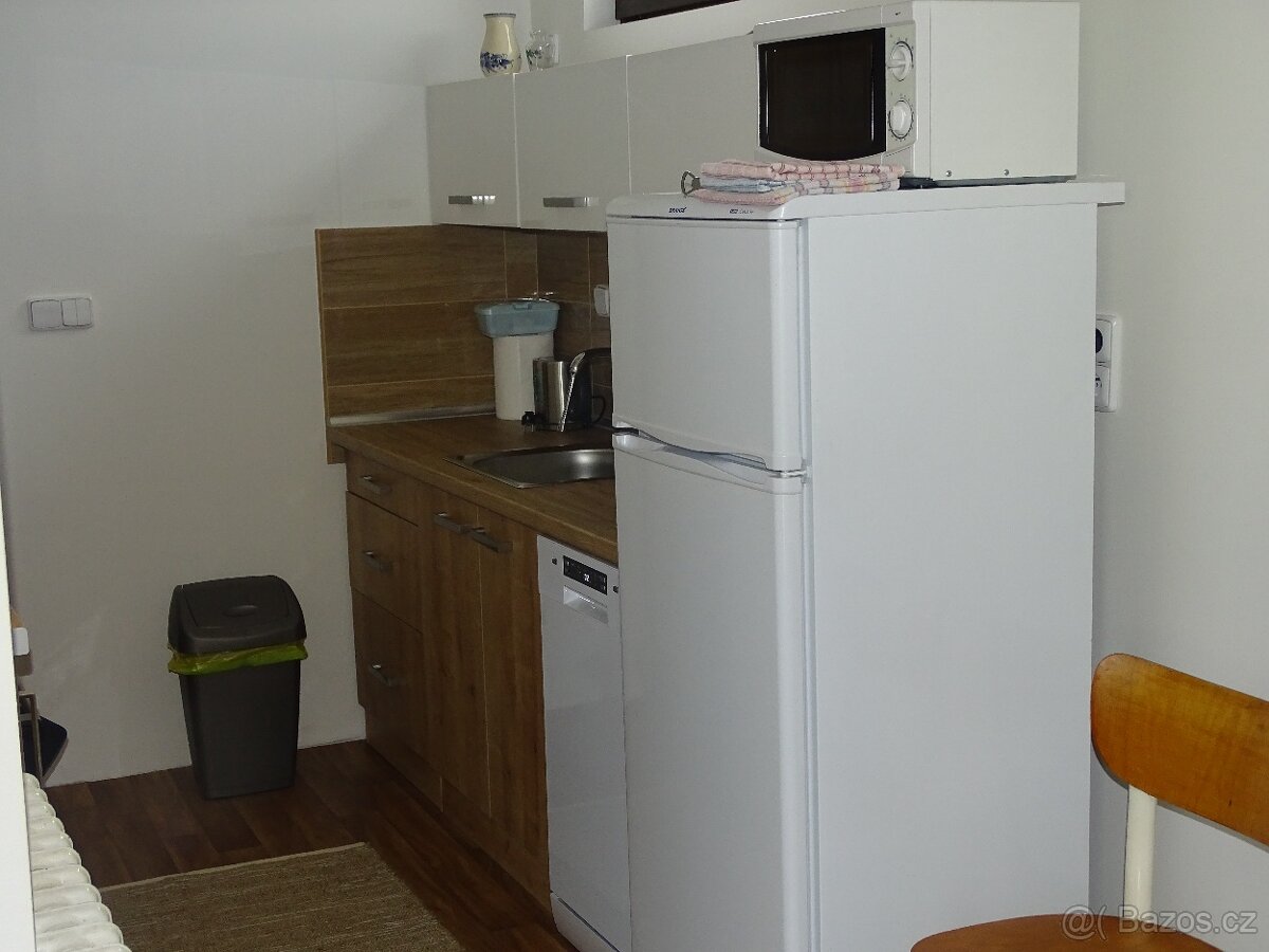 Pronájem rekreačního domku - 8