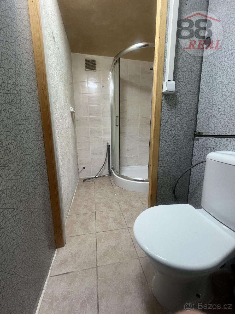 pronajem (podnájem) bytu 3+1, ulice na vyhlidce - 8