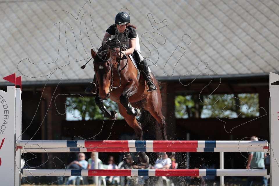 Prodám koně, hannoverskou klisnu - 8