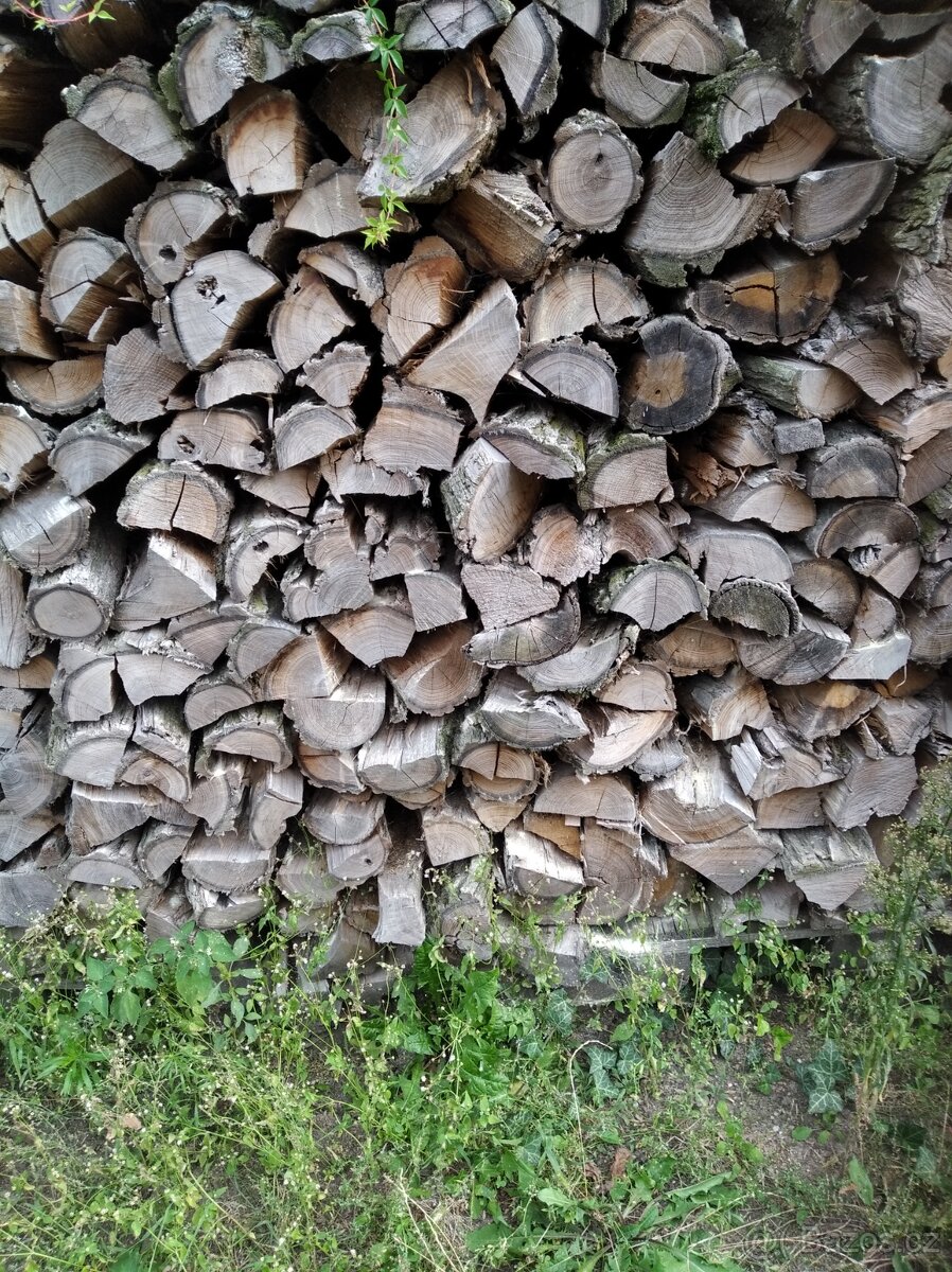 Prodám suché palivové dřevo - 8