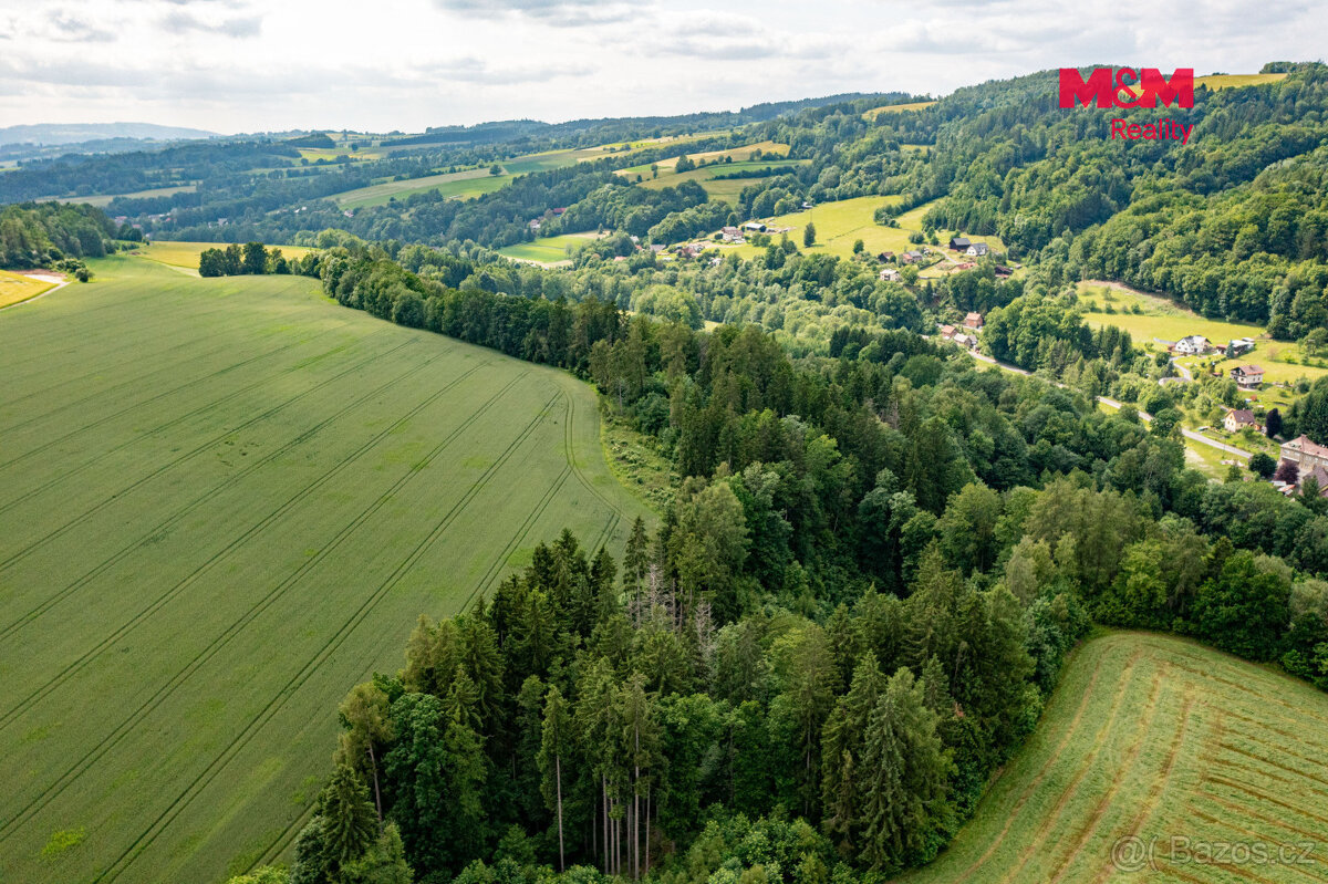 Prodej lesa, 36610 m², Peřimov - 8