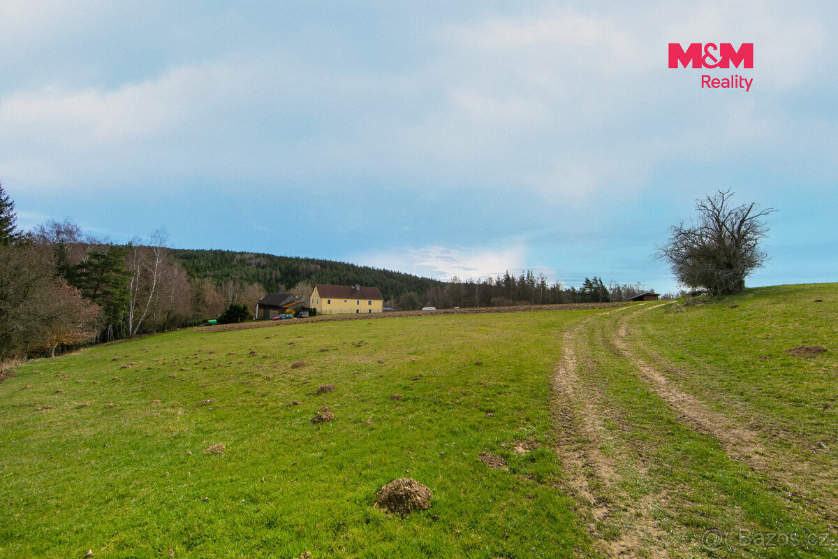 Prodej louky, 4971 m², Krsy - 8