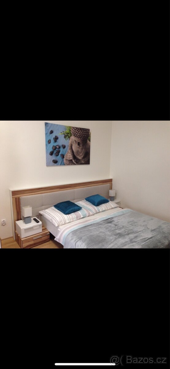 2+1 VINOHRADY, BALKON, CENTRUM - 8