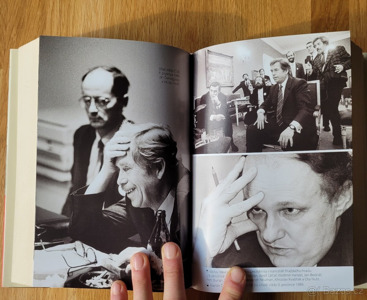 Suk, J.: Labyrintem revoluce, vydal Prostor 2009 - 8