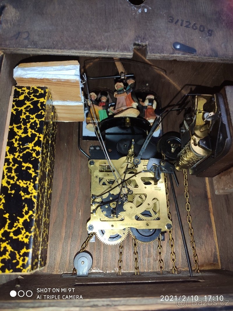 Velke, hraci kukacky, Schwarzwald... - 8