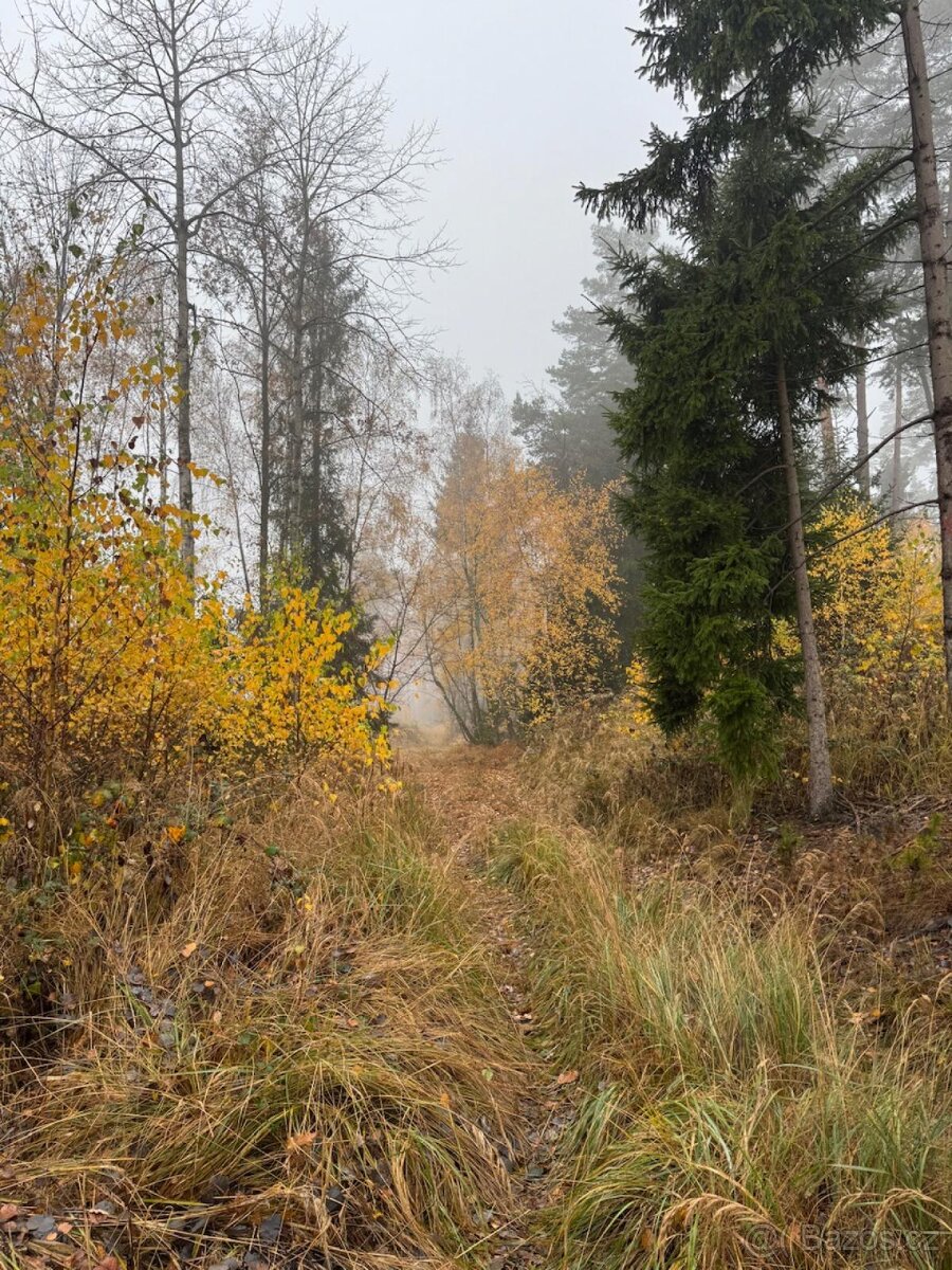 Prodej lesních pozemků k.ú. Úboč - 8