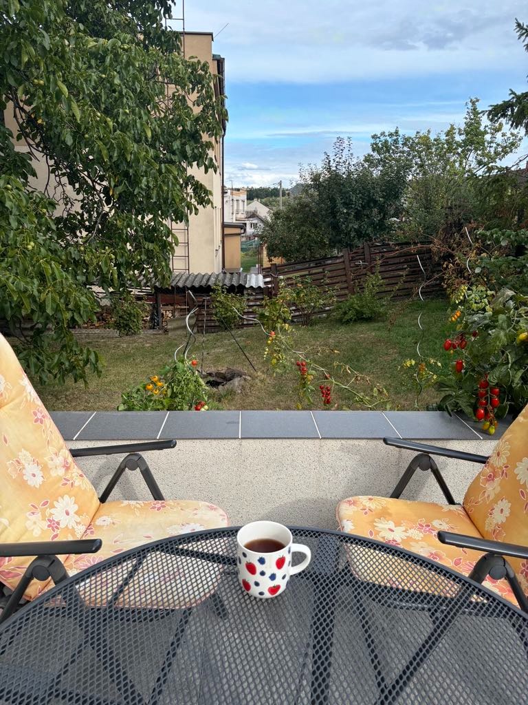 Prodej velkého domu, Chvalíkovice - 8