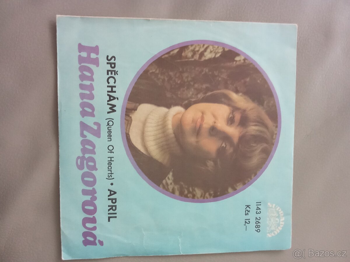 LP desky vinyl malé - 8