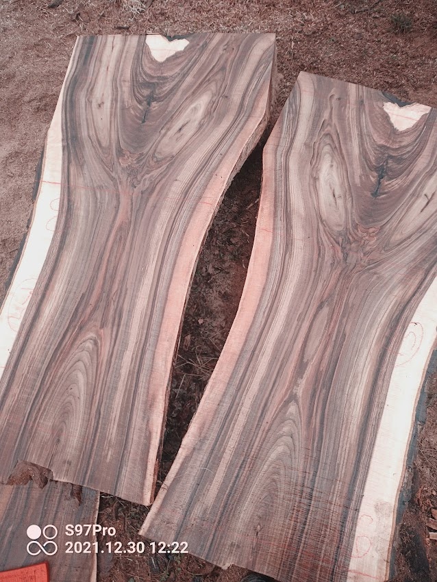 Super tmavé ořechové XXXL fošny a koláče - 8