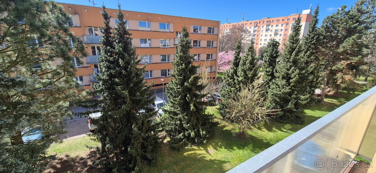 Prodej družstevního bytu 3+1 v Turnově - 8
