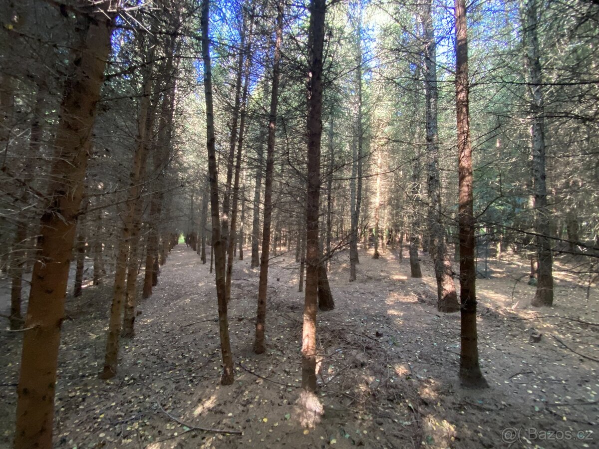 Lesní pozemek a pozemek ostatní plocha Horní Lánov - 8