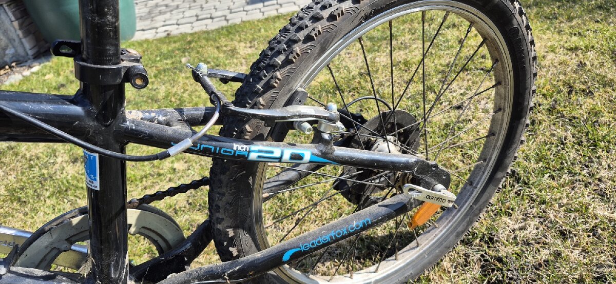 Leader Fox Selma 20" - 8