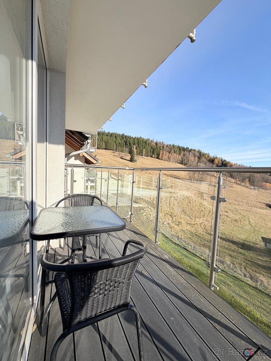 Prodej apartmánu 28 m², Dolní Morava, ev.č. 00741 - 8