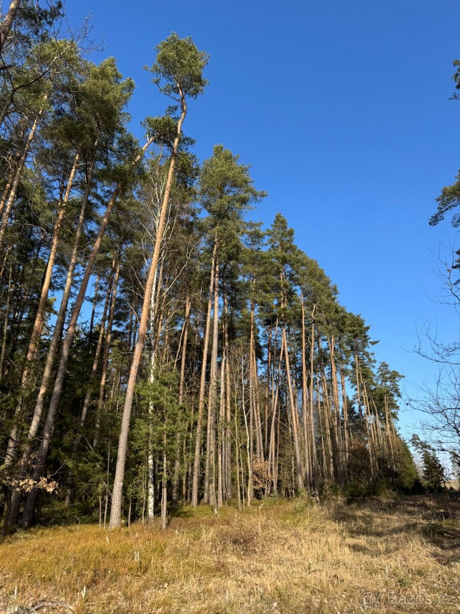 Prodám pozemky v katastrálním území Nemějice - 8