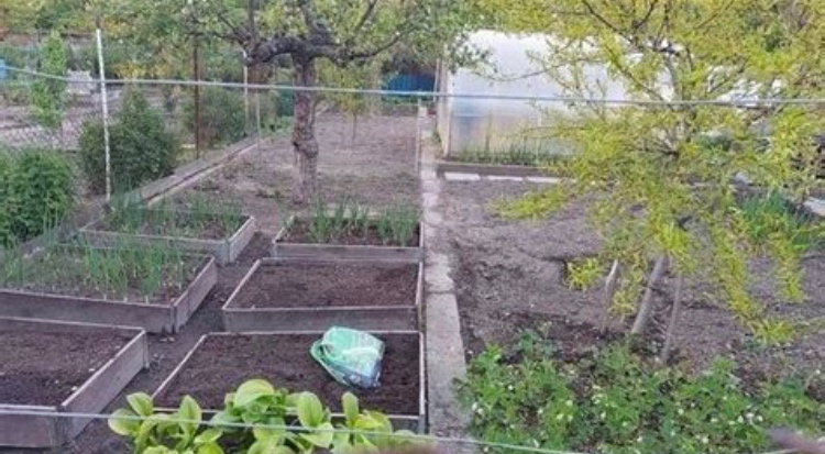 Vlastníte pozemek ve Vřesině u Bílovce (Ostravy)? - 8