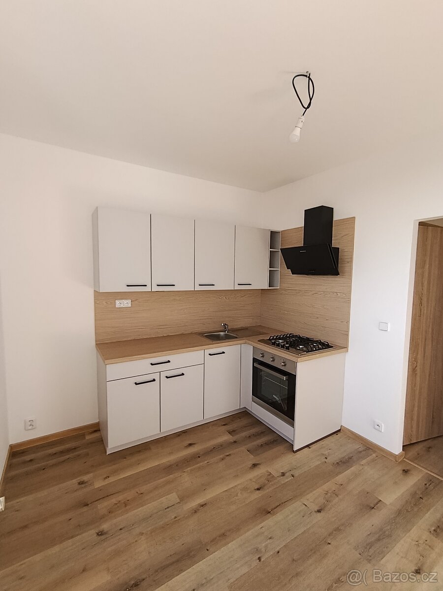 Pronájem bytu 1 + 1 - 8