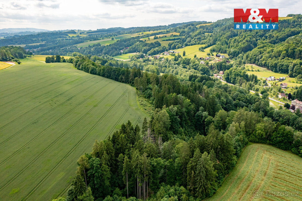 Prodej lesa, 36610 m², Peřimov - 8