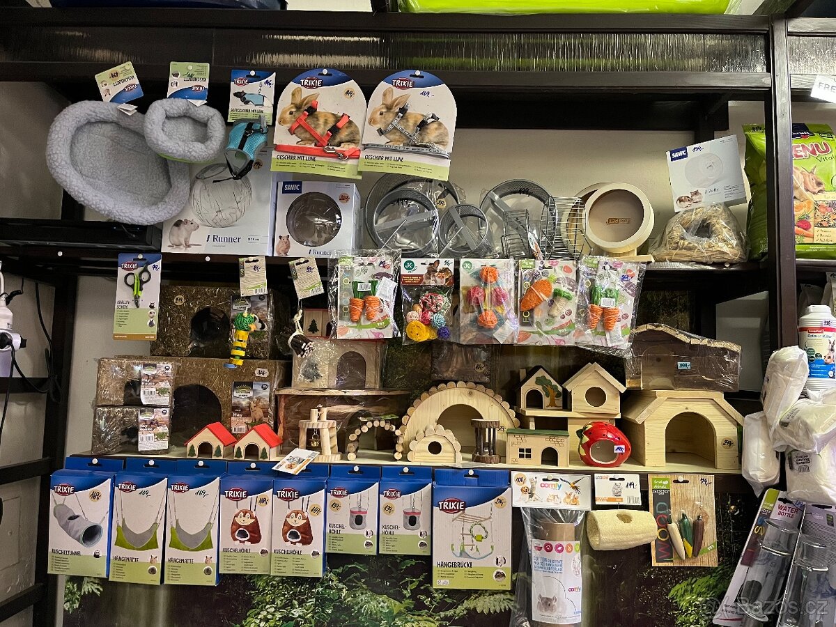 Křeček Syrský nar. 6.3.2026 - 8