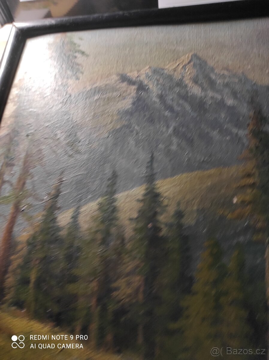 Obraz olej na kartonu - 8