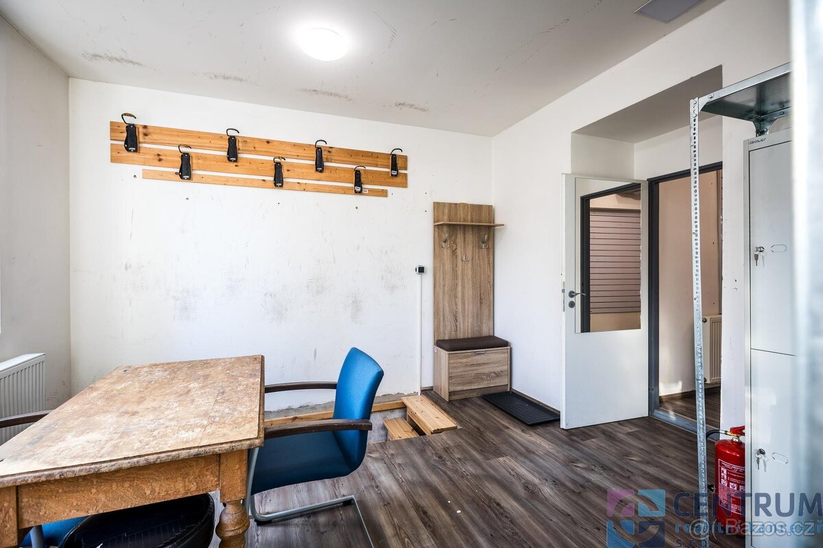 Pronájem obchodních prostor, 176 m2 - 8