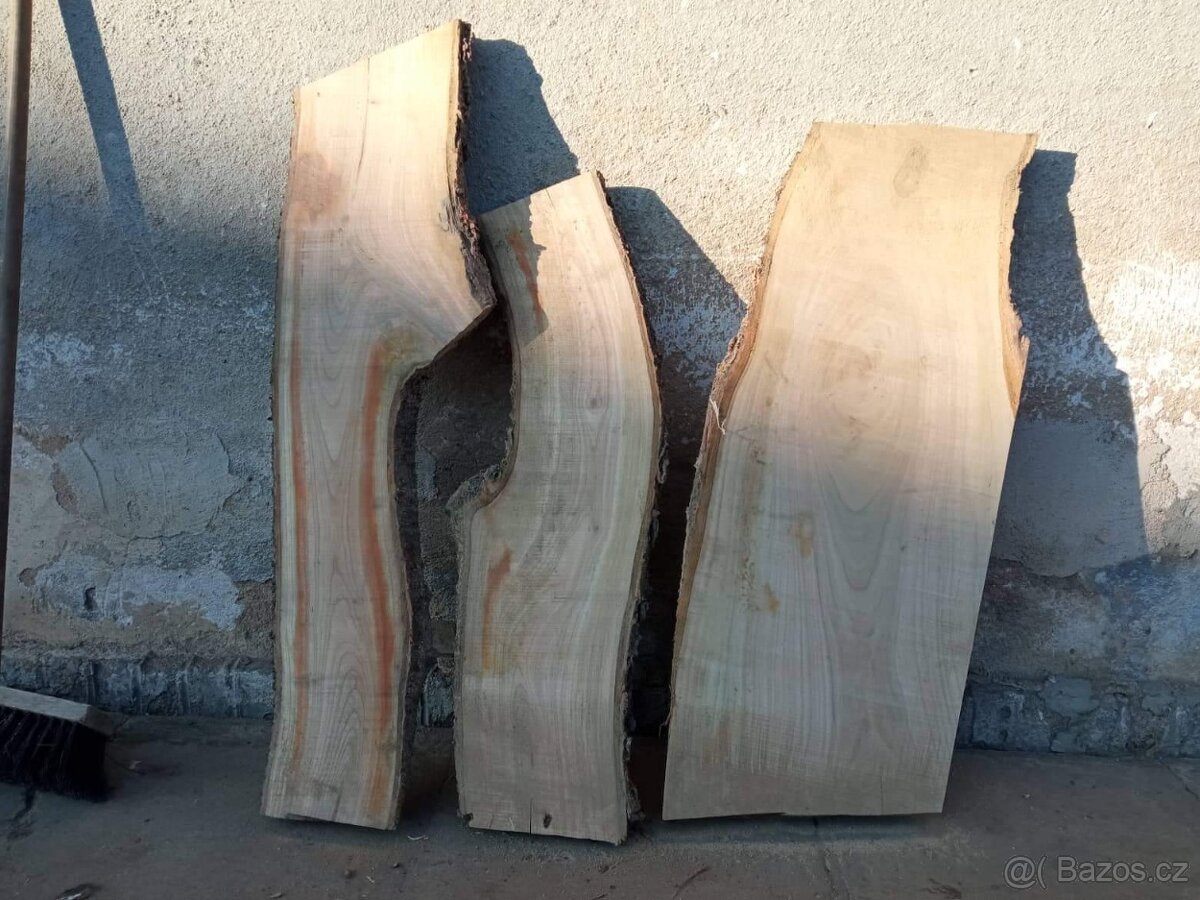 Fošny třešeň - 8