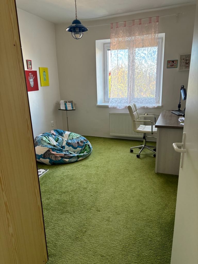 Prodej velkého bytu 4+1 s vlastní zahradou a park. stáním - 8