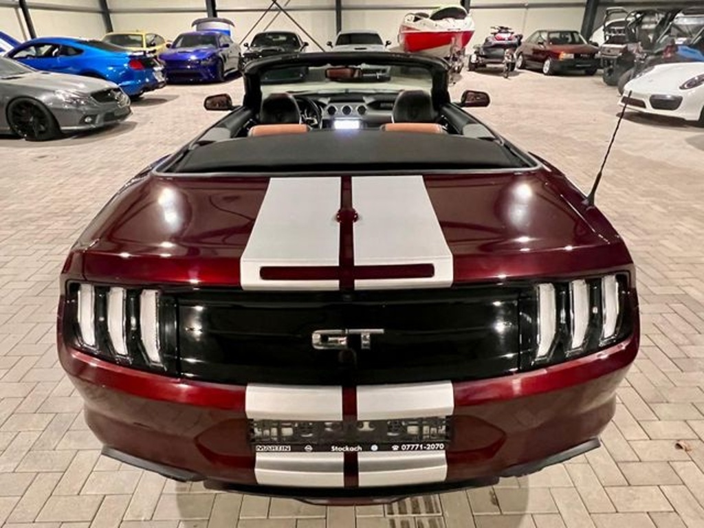 Ford Mustang 5.0 V8 Cabrio (č. 1195) - 8