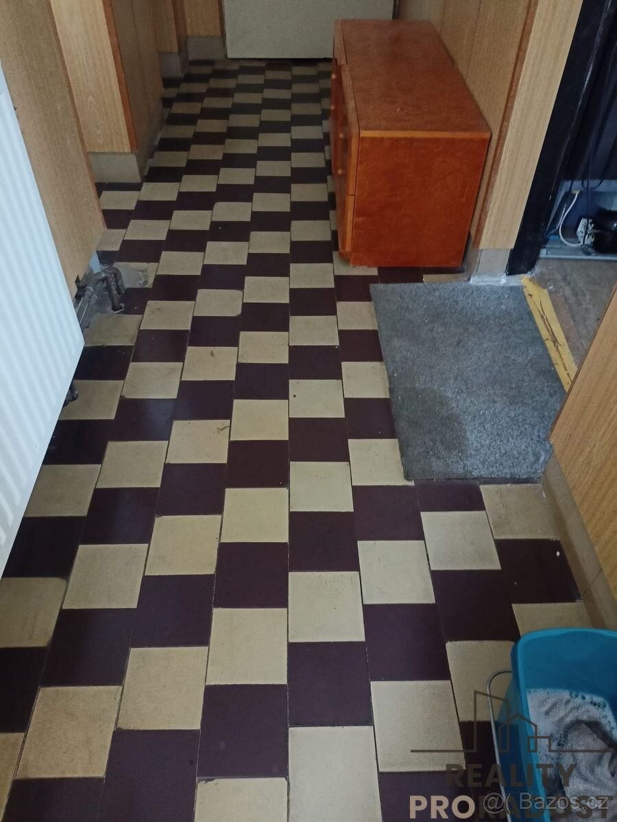 Pronájem bytu 1+kk 117m2 - Veselice - Vavřinec - 8