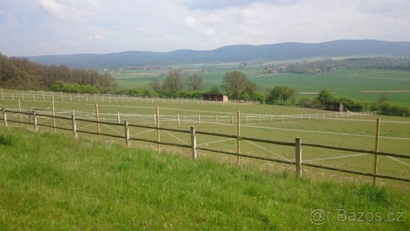 Venkovní ustájení - 8