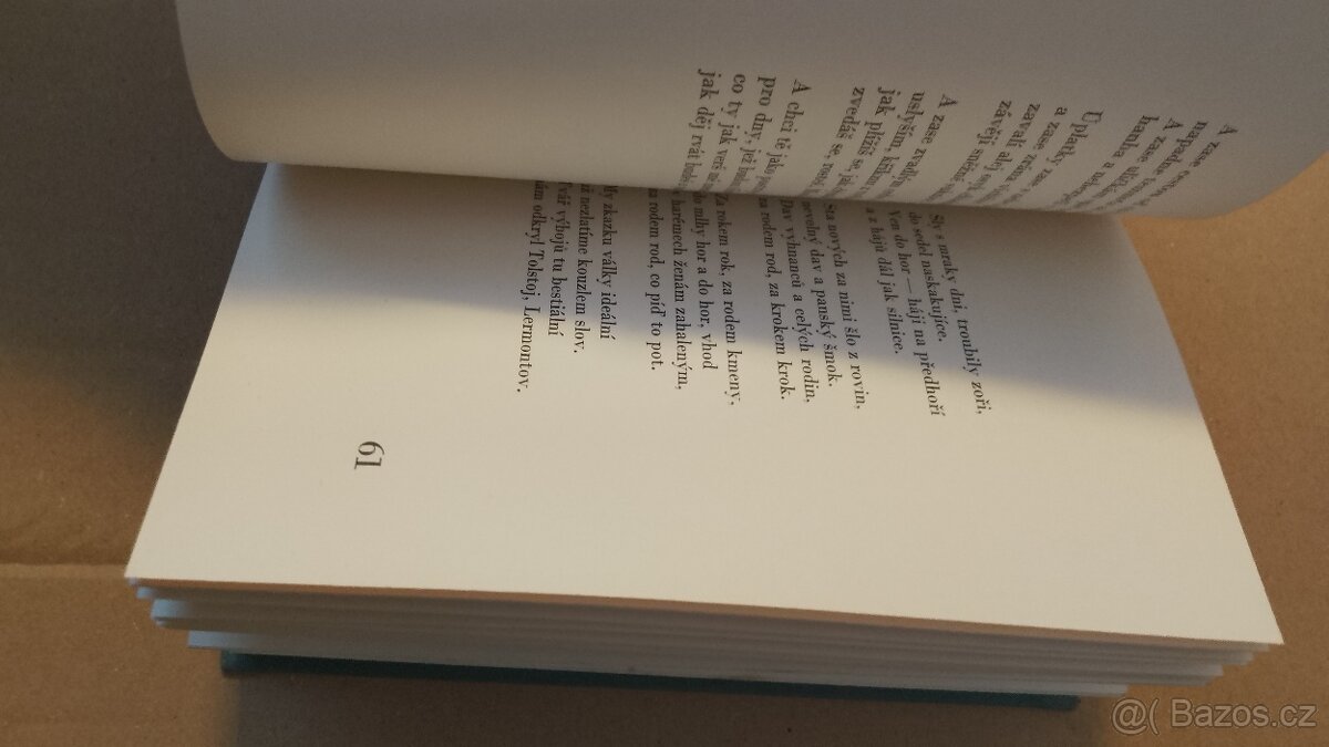 B.Pasternak. Lyrika.Poezie - 8