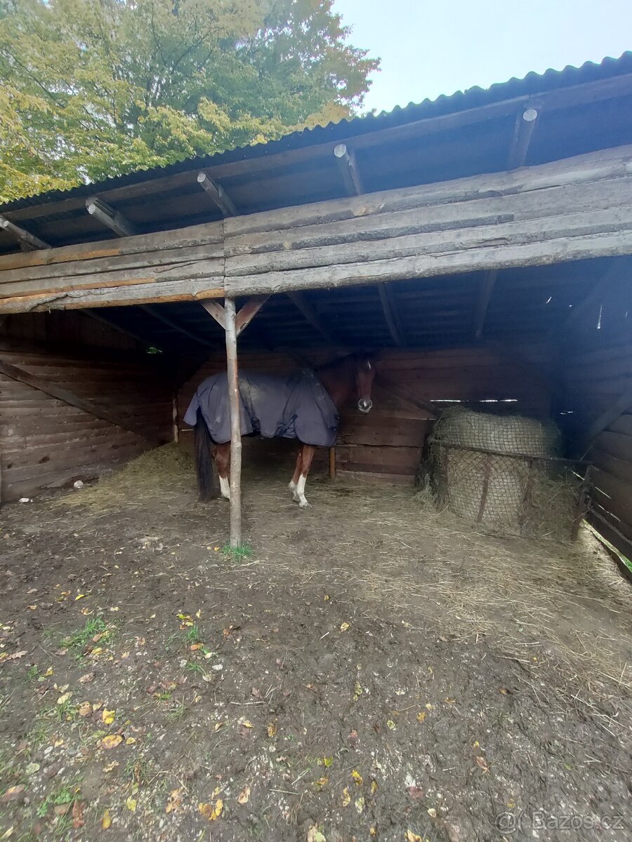 Pastevko Broumy - 15min od Berouna - 8