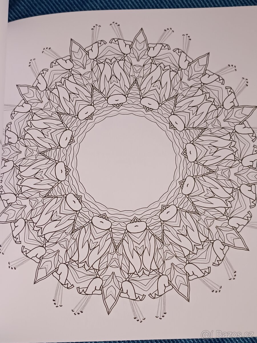 Omalovánky pro dospělé: Inspirativní a ............. - 8