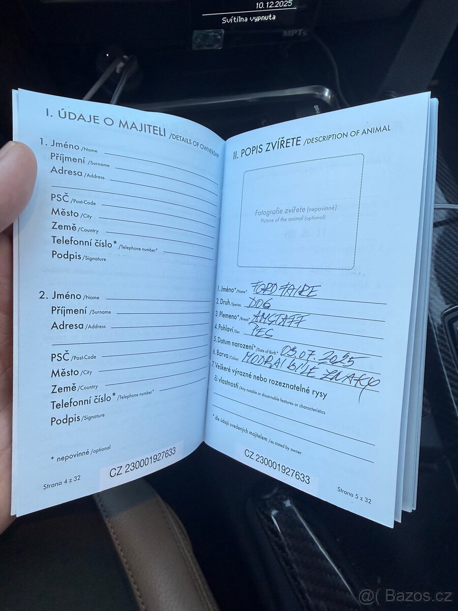 Americké stafford - 8