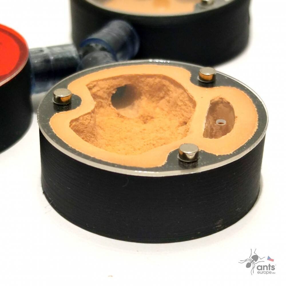 Formikárium ANTcore MINI - 8