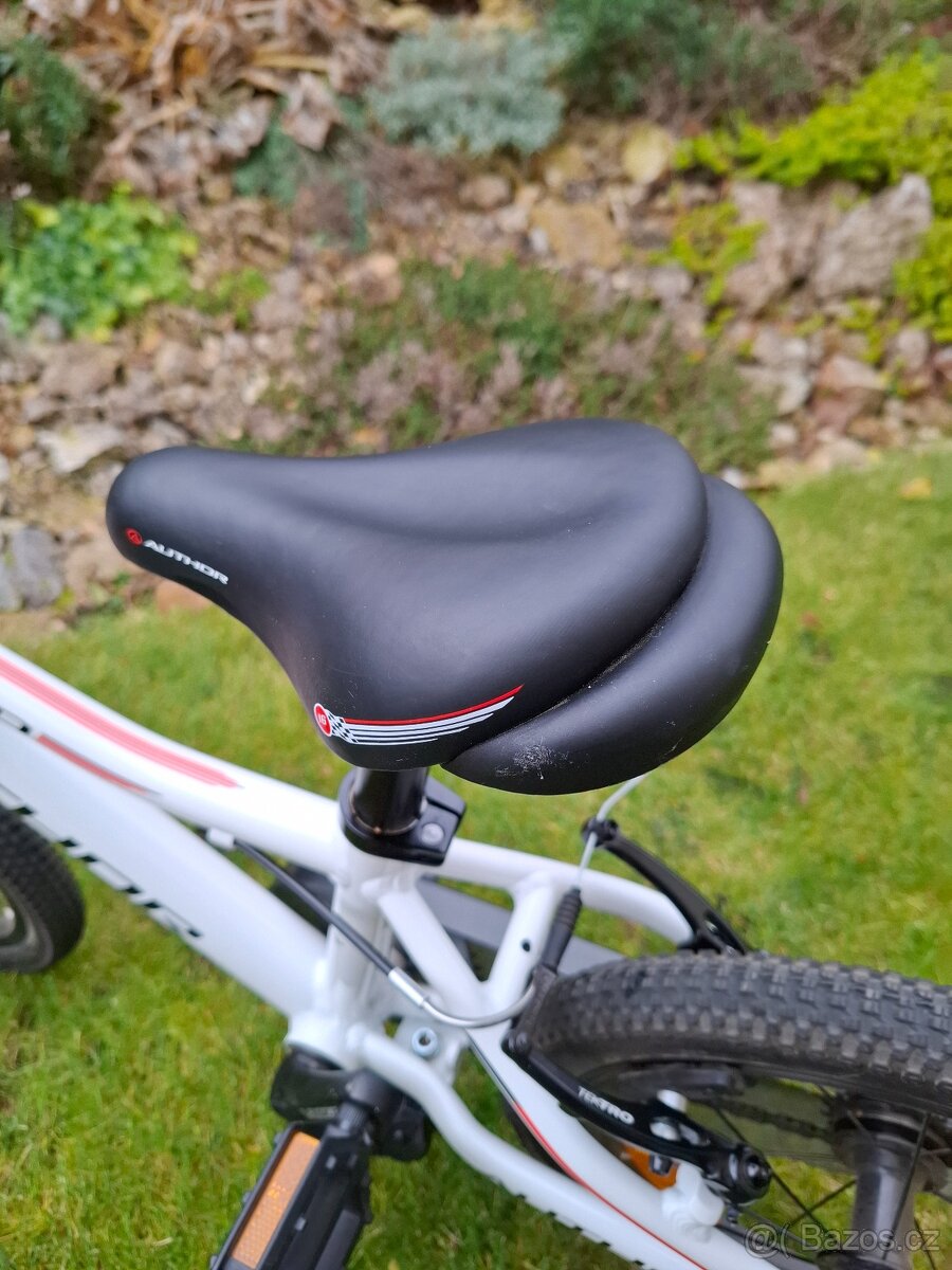 Author Record 16 - 8