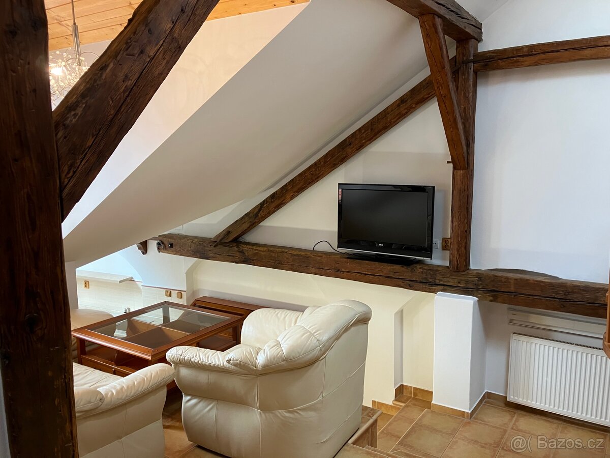 Pronájem bytu v centrum Českých Budějovic - 8