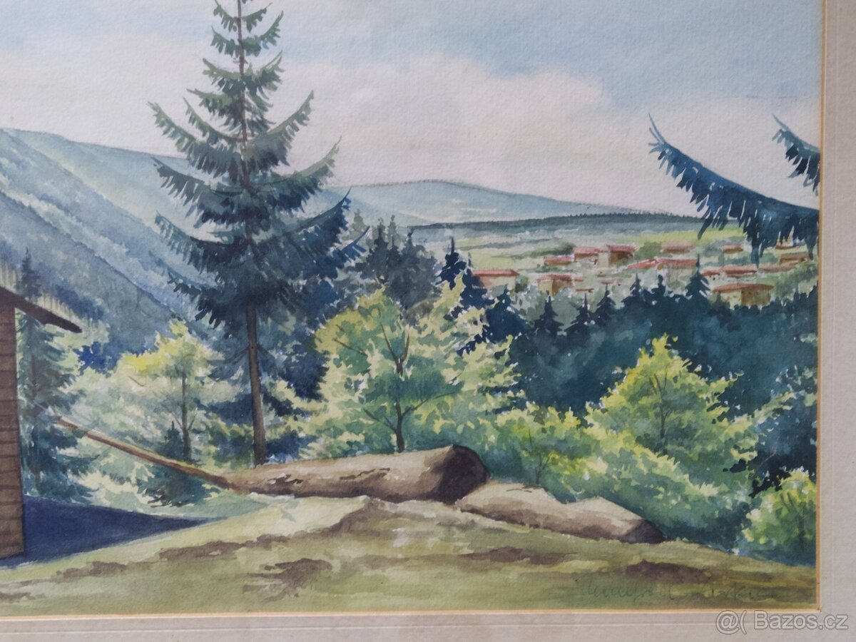 Obraz Akvarelová malba 55×45cm. signová - 8