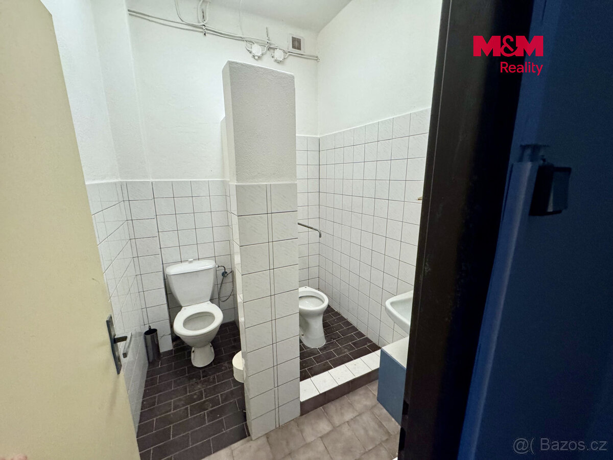 Pronájem skladu, 220 m², Hostomice - 8