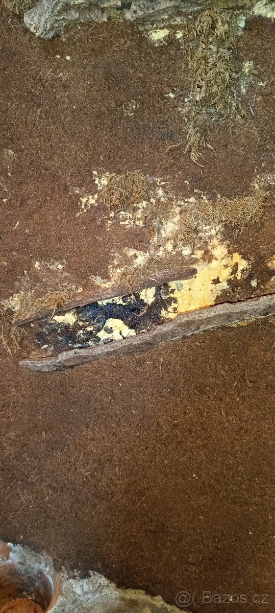 Skleněné terárium 120×80×40 cm - 8