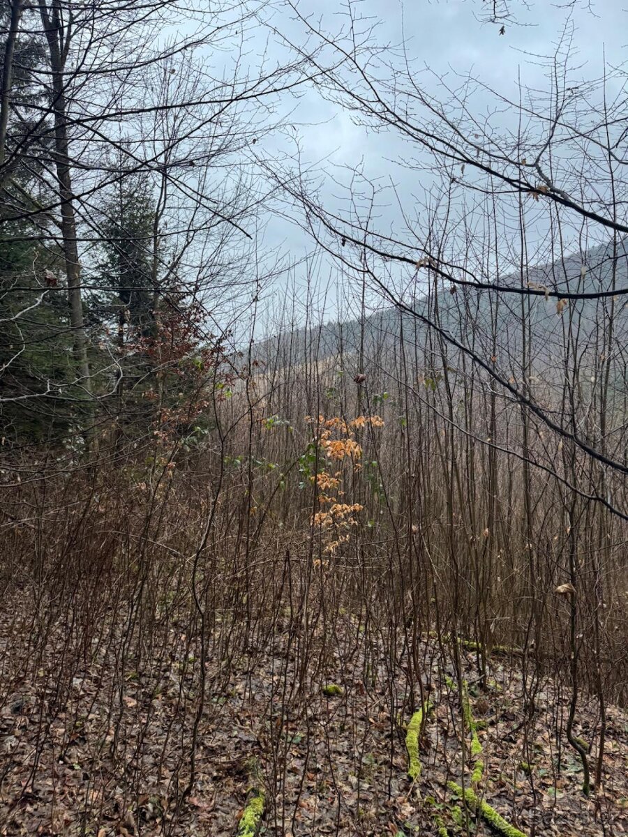 Prodej pozemků k.ú. Huslenky (2) - 8